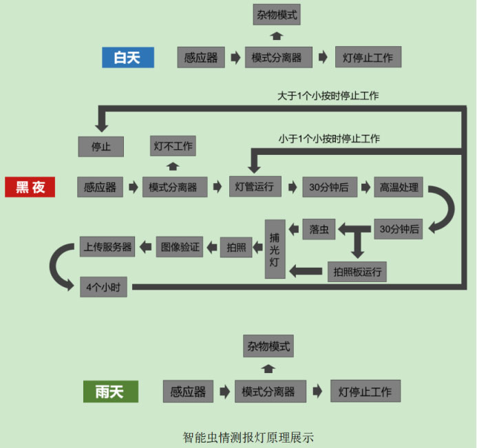 虫情测报灯